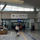동대구역(경부선) | 일산 행신역에서 동대구역 가는 경부선 KTX 후기