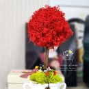 부산성우학교 이미지