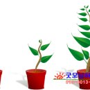 건물보기 이미지