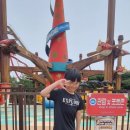 양정 유도관 이미지