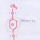 아이피넷