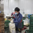 햇고을영농조합법인 이미지