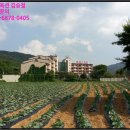 토비스콘도미니엄 이미지