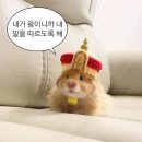 천하온 종합의료기 | 고척동 천하제빵 소금치아바타 맛집 “수밀블랑제리...팁, 빵 10개 사는법 3편 (구매 빵 맛보고 난 후기)