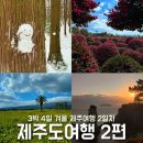 2일차 - 고집돌우럭, 샤러니숲길, 동백수목원, 동백포레스, 휴애리자연생활공원, 허그인제주, 꺼멍목장
