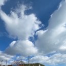 그린파크장 이미지