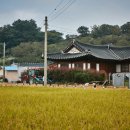 신기마을 앞 이미지