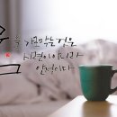 책 속 좋은 글귀 캘리그라피 이미지