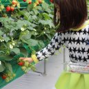 부창농장 이미지