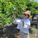 충도4리 이미지