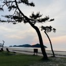 퍼플 - 화성시 행정서로1길 12 | 퍼플