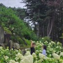 초록정원 이미지