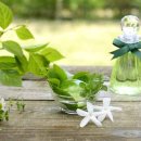 웰니스메디칼 이미지