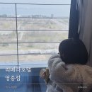 씨사이드파크카페테리아화장실 | 영종도 인천 호캉스 추천 리베라호텔영종 아기랑 영종도호텔 후기 근처 하늘구름광장 씨사이드파크까지