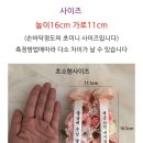 네일바이지수 이미지