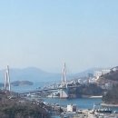 오동도 Daum카페