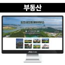 금성부동산공인중개사사무소 | 안산 대부도의 분위기를 담아낸 부동산 블로그 제작