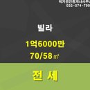 럭키공인중개사 이미지