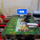 삼성태권도장 이미지