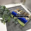 네추럴레매디 이미지