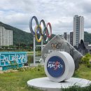 아리랑시장 토요장 먹거리추천 후기후기~! (아리떡집, 경미네, 중앙식육점, 가마솥야채치킨, 영숙이네)