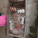 소양참숯찜질방 이미지