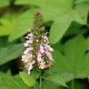 운대2리 이미지