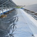 빛좋은태양광발전소 이미지