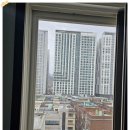 세양 | 안양 세양청마루 방충망 교체 시공 후기