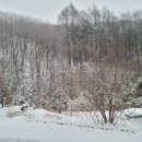 신궁마을회관 이미지