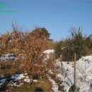 관암1리 마을회관 이미지