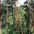 하사전리마을회관 이미지