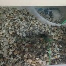 백암기사식당 이미지