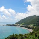 완도 예송리 상록수림 이미지