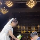 모머니티스냅 이미지