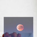 금일해당화해변 이미지