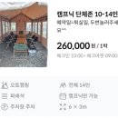 까사스위스 캠핑장 이미지