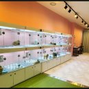 부산고양이분양 브라비펫 펫스테이션점 | 부산강아지분양 브라비펫 추천합니다!