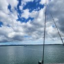 토마스어학원 | 찐 내돈내산 30대 직장인 단기 어학연수 생활 후기(Worldwide 어학원)_(2) 2,3 주차 및 수료식 후기