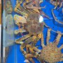 서부아침시장 화장실 이미지