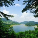 숲속다람쥐펜션 이미지