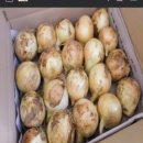 정가농장 이미지