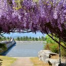 사회복지법인 여수애양병원 이미지