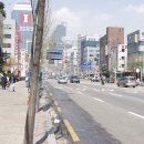 2001년 평화롭고 아늑한 서울 길거리 사진 이미지