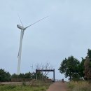 제주섬마리 이미지