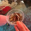 소노벨 천안 | 아이와 함께 천안여행, 겨울 썰매 천안소노벨 스노우 어드벤처 후기