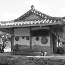 늘푸른꽃농원 - 고양시 일산동구 식사로 26 | 늘푸른꽃농원