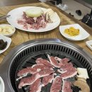 도심속가든 이미지