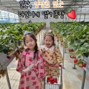 다인농장2 이미지