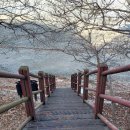 시든물해변 Daum카페